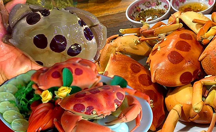 Cua mặt trăng Côn Đảo