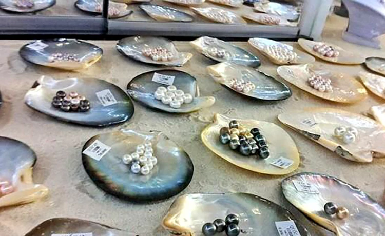 Ngọc Trai Côn Đảo