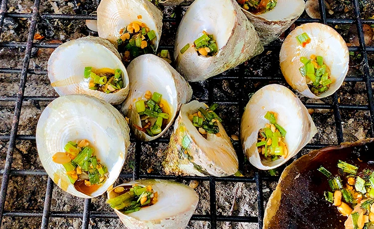 Ốc Vú Nàng Côn Đảo