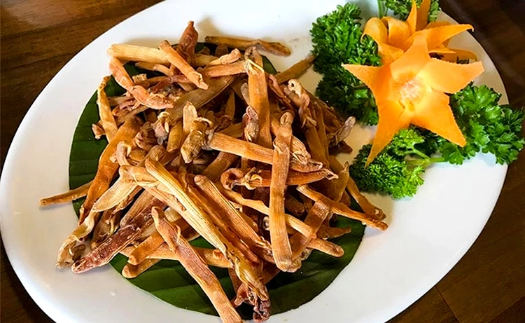 Sa Sùng Côn Đảo