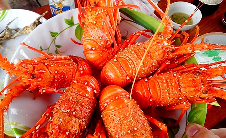 Tôm Hùm Côn Đảo