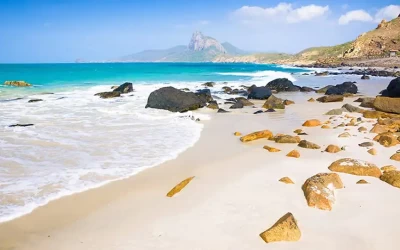 Bãi Nhát - Du lịch Côn Đảo