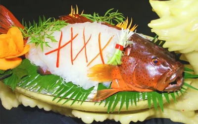 Cá mú đỏ - Đặc sản Phú Quý