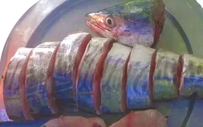 Cá thu - Đặc sản Phú Quý