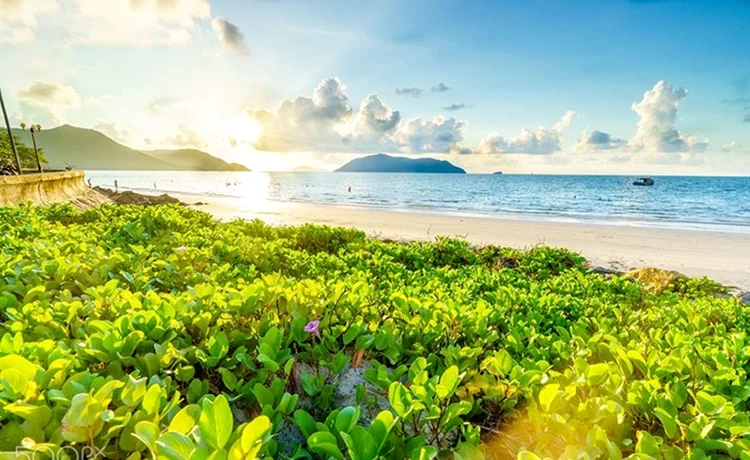 Combo du lịch Vũng Tàu Côn Đảo bằng tàu cao tốc Combo du lịch Vũng Tàu Côn Đảo bằng tàu cao tốc