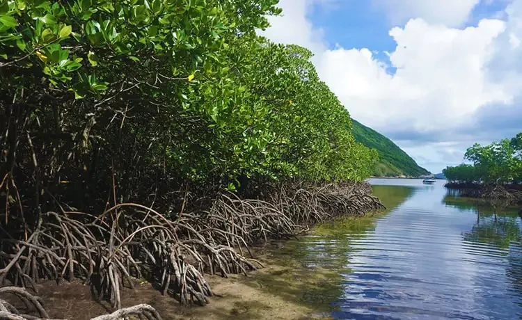 Hòn Bảy Cạnh - Du lịch côn Đảo