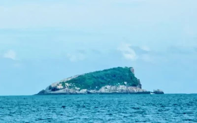 Hòn Bông Lan - Du lịch Côn Đảo