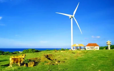 Phong điện Phú Quý