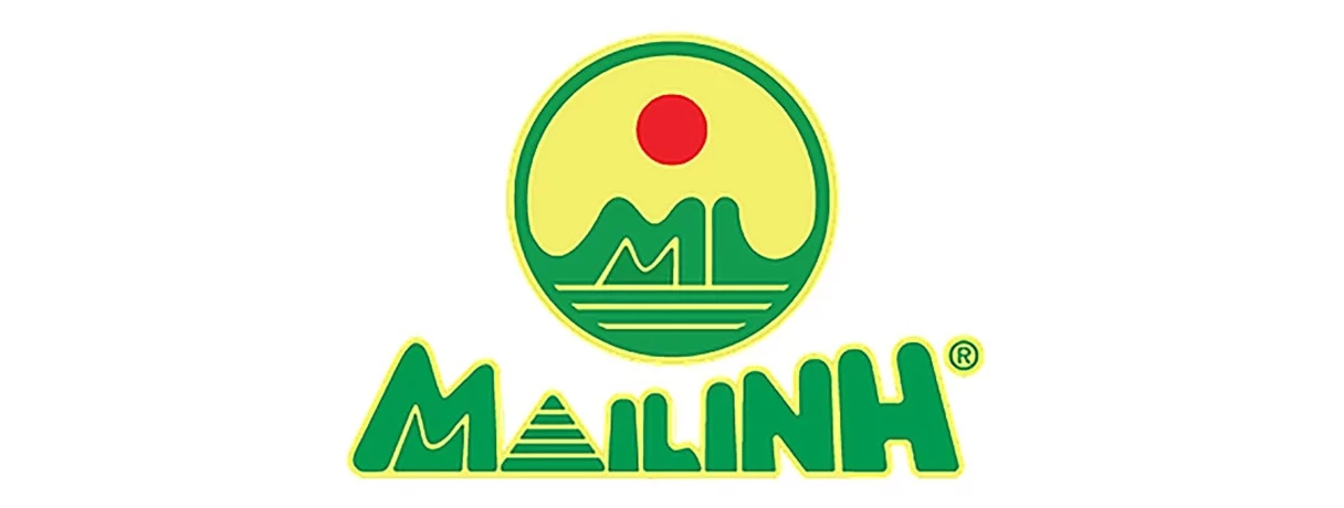 Mai Linh Express