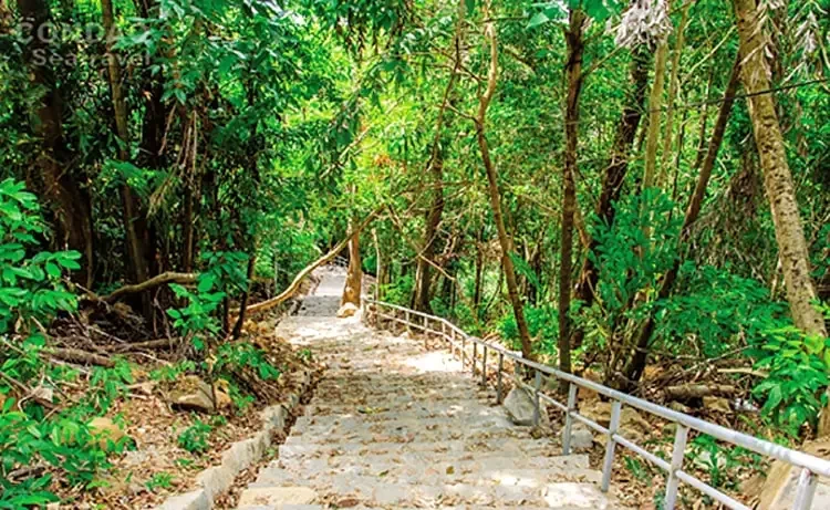 Tour du lịch Cần Thơ - Côn Đảo 2 ngày 1 bằng máy bay