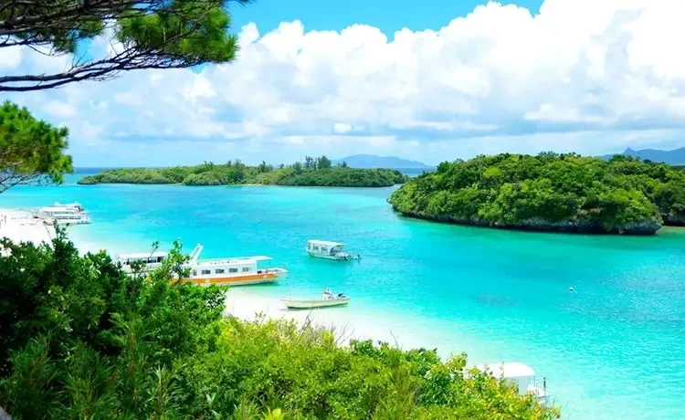 Tour du lịch Cần Thơ - Côn Đảo 3 ngày 2 đêm bằng tàu cao tốc