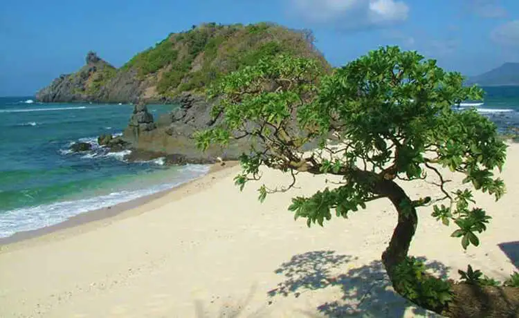 tour du lịch Côn Đảo tour du lịch Côn Đảo