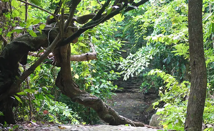 tour du lịch Côn Đảo