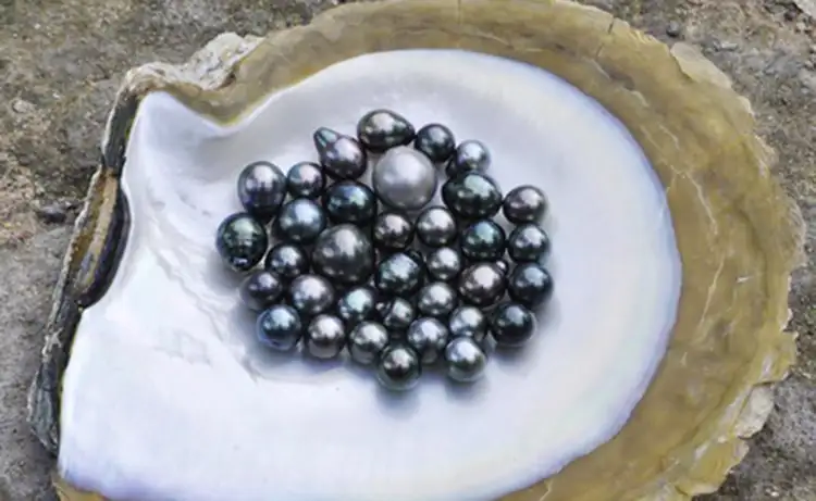 tour du lịch Côn Đảo