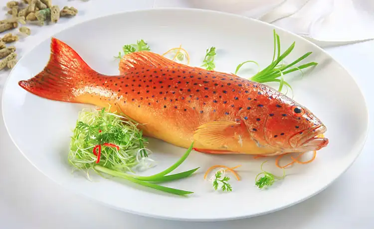 tour du lịch Côn Đảo