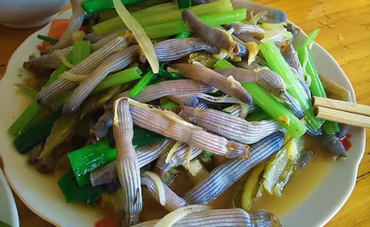 tour du lịch Côn Đảo