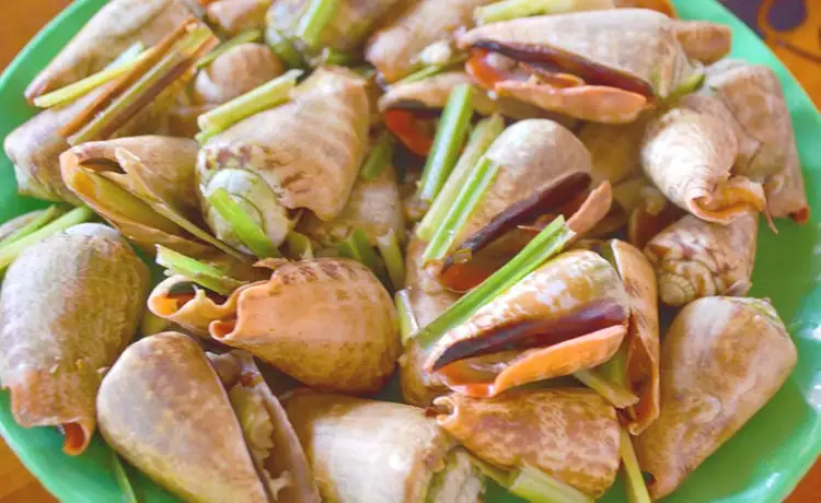 tour du lịch đảo Phú Quý tour du lịch đảo Phú Quý
