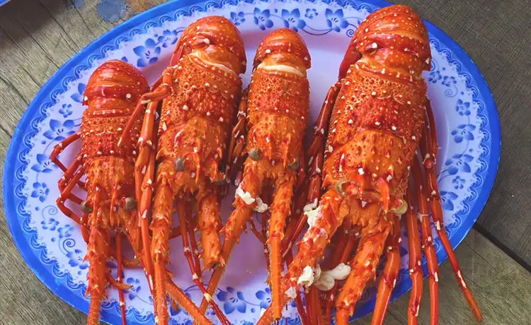 tour du lịch đảo Phú Quý tour du lịch đảo Phú Quý