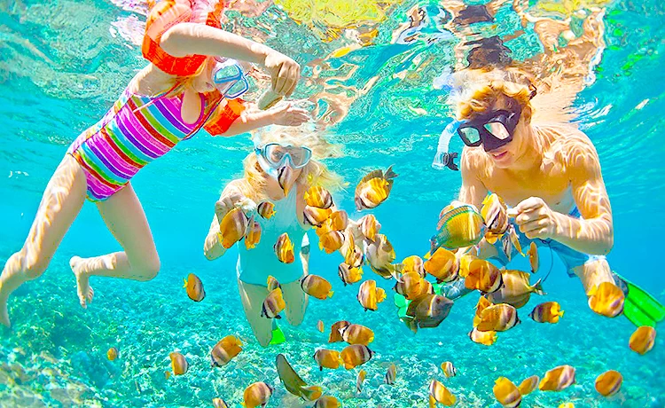 Tour du lịch Sóc Trăng - Côn Đảo 3 ngày 2 đêm thiên nhiên