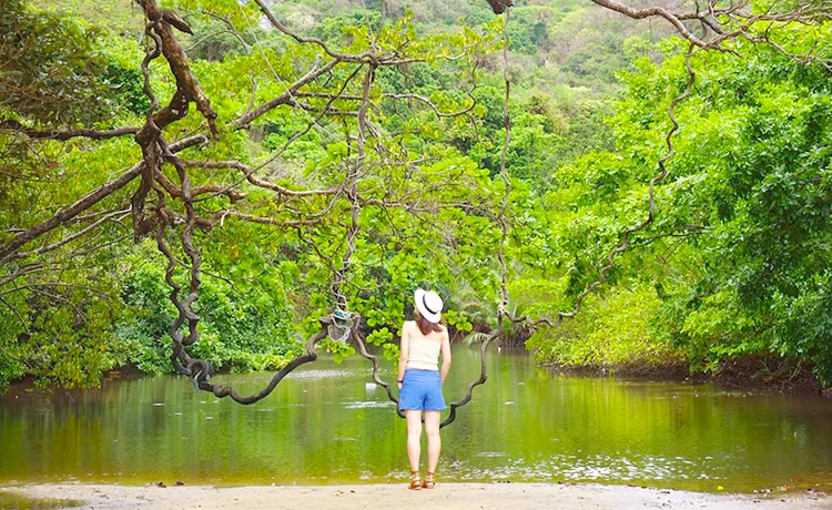 Tour du lịch Vũng Tàu - Côn Đảo 2 ngày 1 đêm thiên nhiên