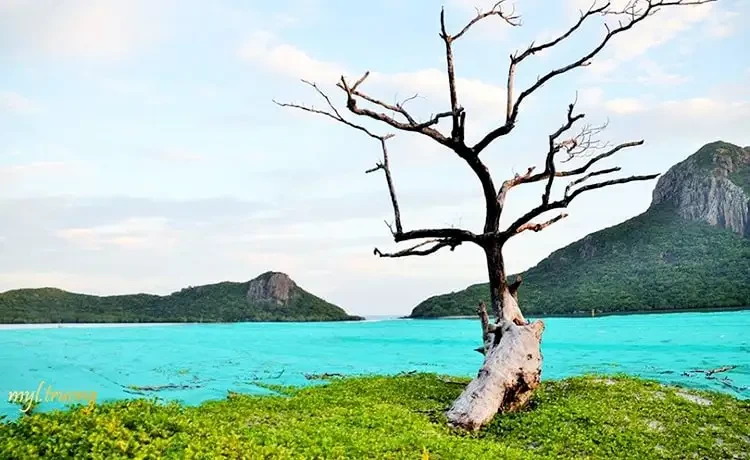 Tour du lịch Vũng Tàu - Côn Đảo 2 ngày 1 đêm thiên nhiên