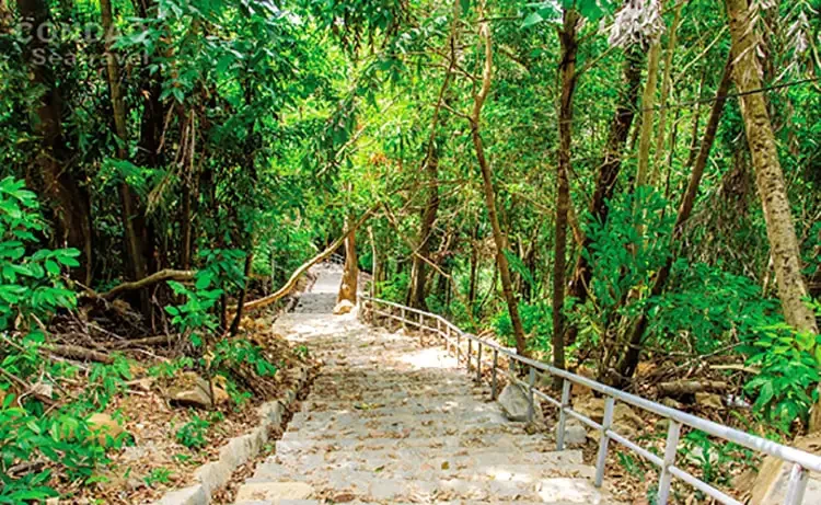 Tour du lịch Vũng Tàu - Côn Đảo 3 ngày 2 đêm bằng tàu cao tốc