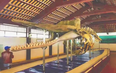 Vạn An Thạnh - Du lịch Phú Quý